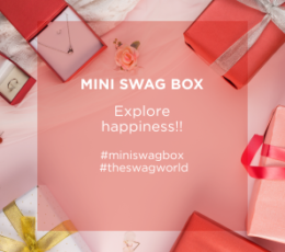 Mini-Swag-Box